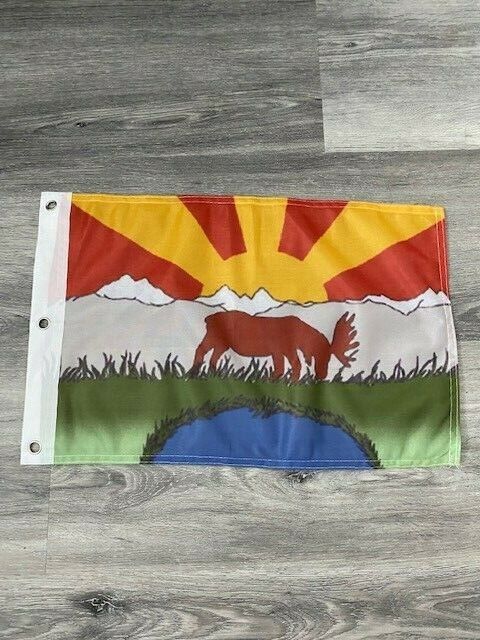 12" x 18" City of Wasilla, Alaska Flag 12x18 Banner Brass Grommets43