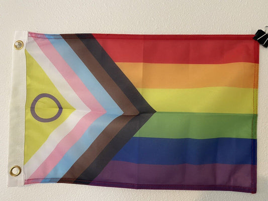 Inclusive Pride Flag 12" x 18"  Pride Flag LGBT Z22