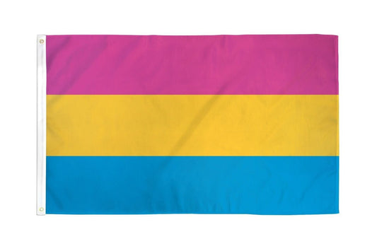 Pansexual Pride Flag 2' x 3'  Pride Flag LGBT Z21