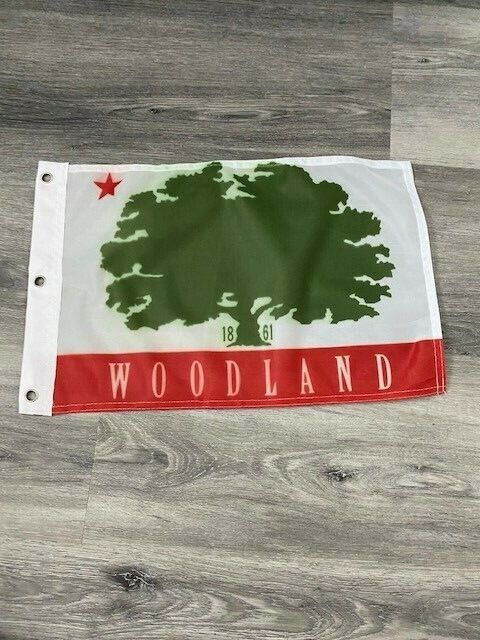 12" x 18" City of Woodland, California Flag 12x18 Banner Brass Grommets31