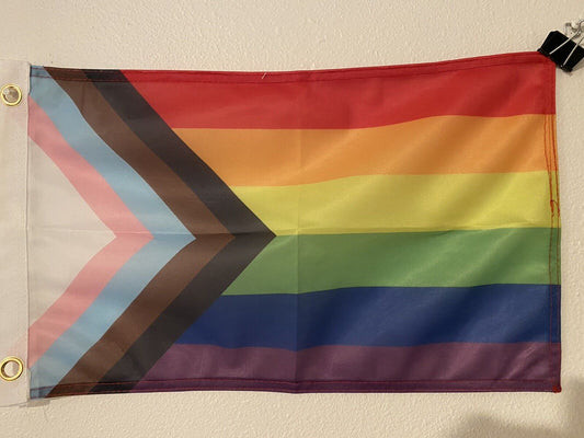 Progress Pride Flag 12" x 18"  Pride Flag LGBT