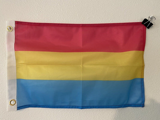 Pansexual Pride Flag 12" x 18"  Pride Flag LGBT Z22