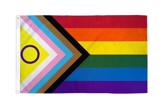Inclusive Pride Flag 2' x 3'  Pride Flag LGBT Z21