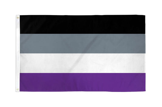12" x 18"  Asexual Flag Gay Pride LGBTQ Outdoor Flag Banner Polyester New Z22